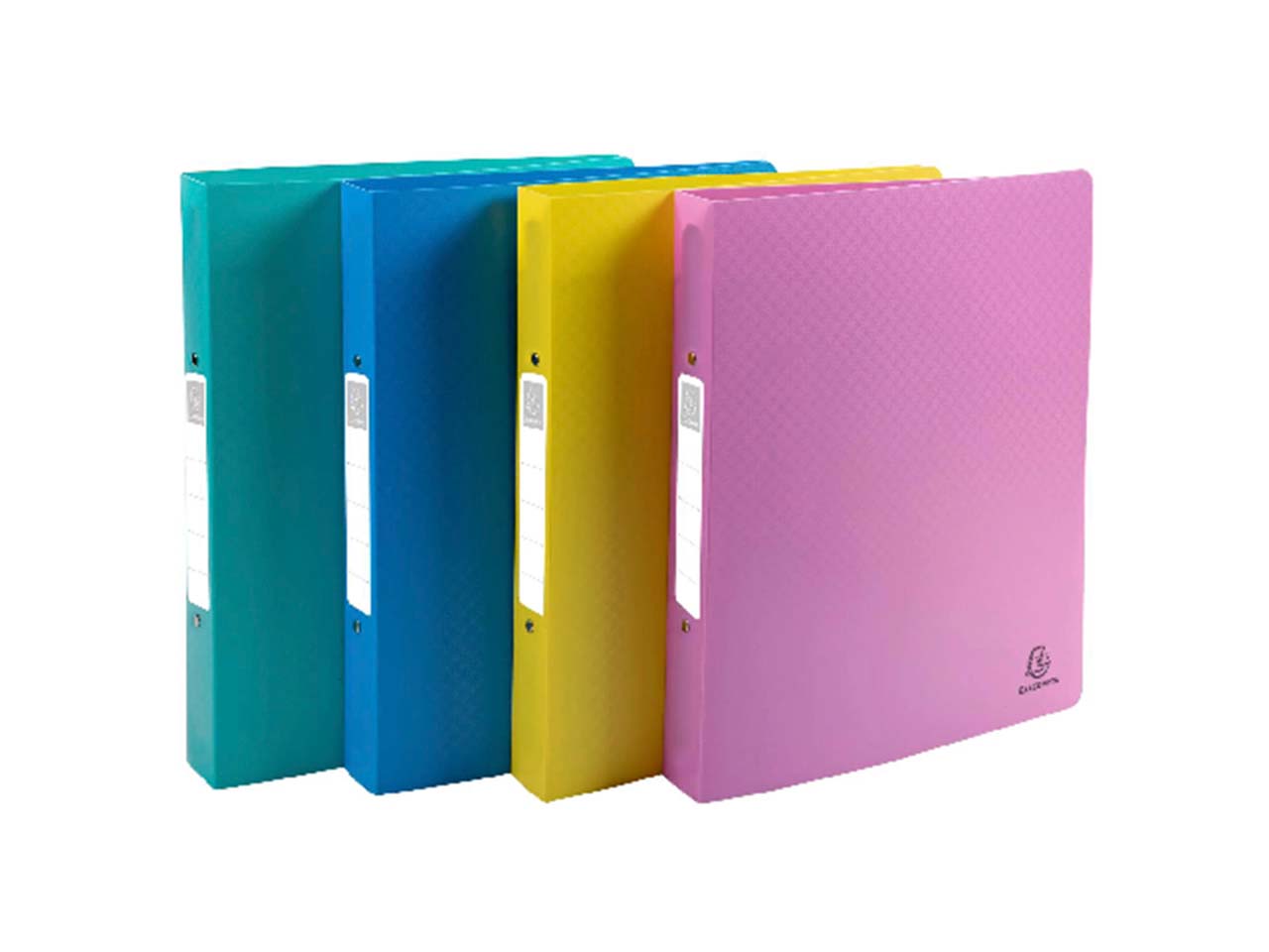 12 Exacompta Ringbücher "Forever Young", DIN A4 Maxi, sortiert, 2 Ringe