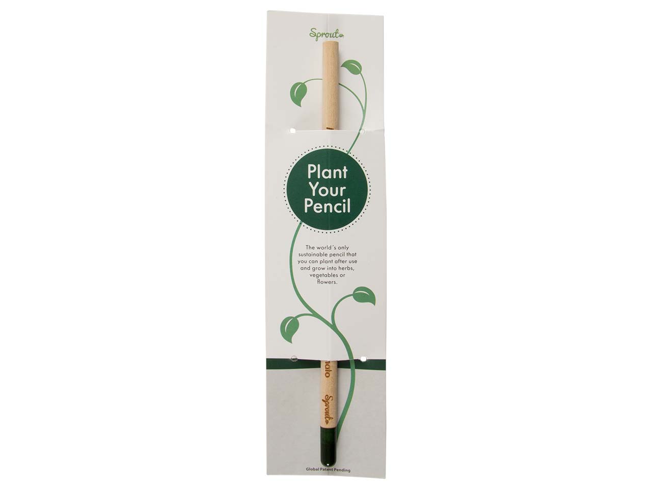 Sprout Bleistift mit Samenkapsel und Karte Melone
