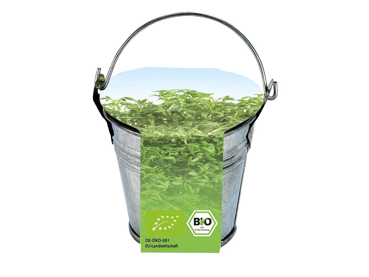 Bio Kresse im Eimer