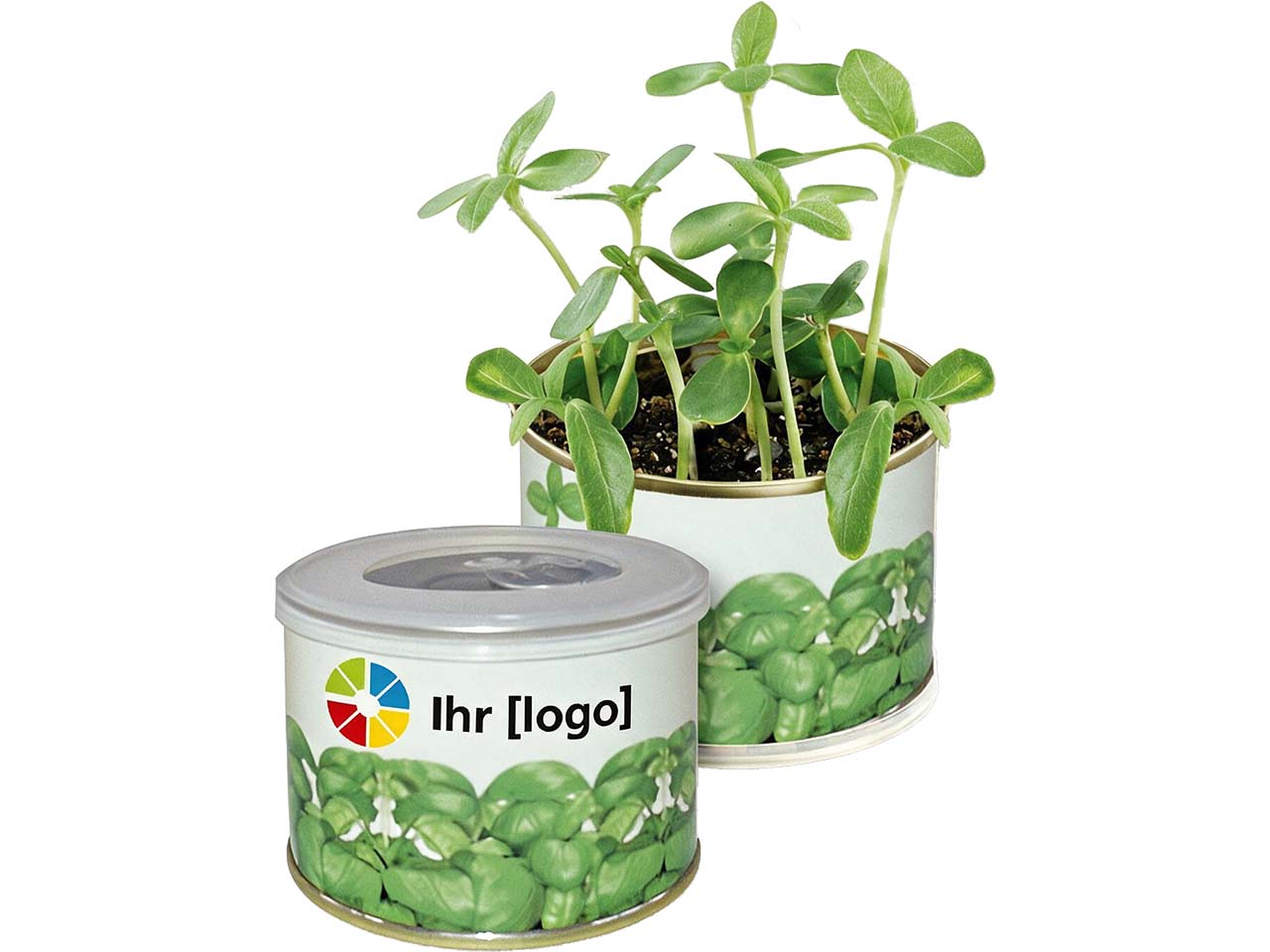 Bio-Mini-Pflanzset 'Dose' Basilikum  mit 1-4 farbigem Aufdruck