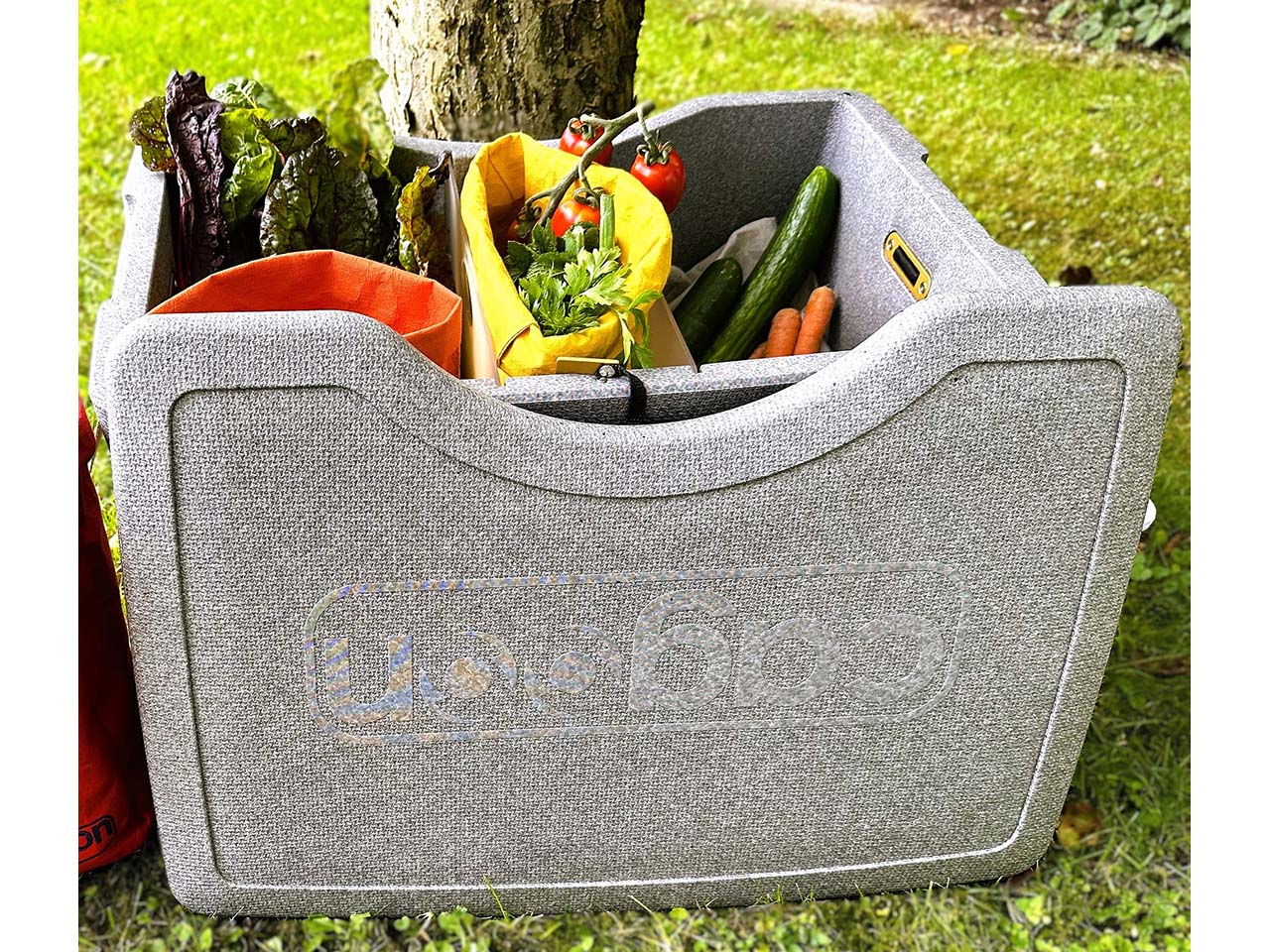 cagoon Performance Thermobox / Kühlbox "AEROSTUFFY L", isolierend, grau