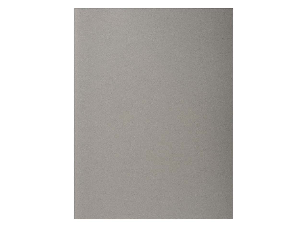 5 x 100 Exacompta Aktendeckel "Forever", 220 g/m², DIN A4, grau