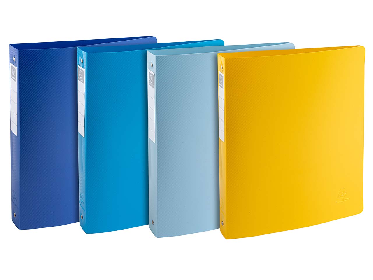 12 Exacompta Ringbücher "BeeBlue", DIN A4 Maxi, sortiert, 4 Ringen