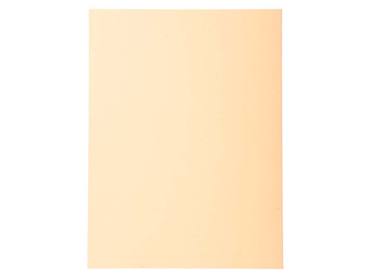 5 x 100 Exacompta Aktendeckel "Forever", 220 g/m², DIN A4, sand