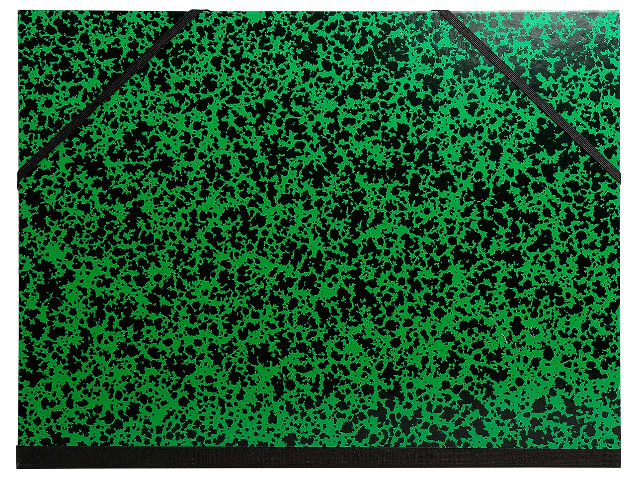 10 Exacompta Zeichenmappen mit Gummizug, 260x330 mm für DIN A4, grün