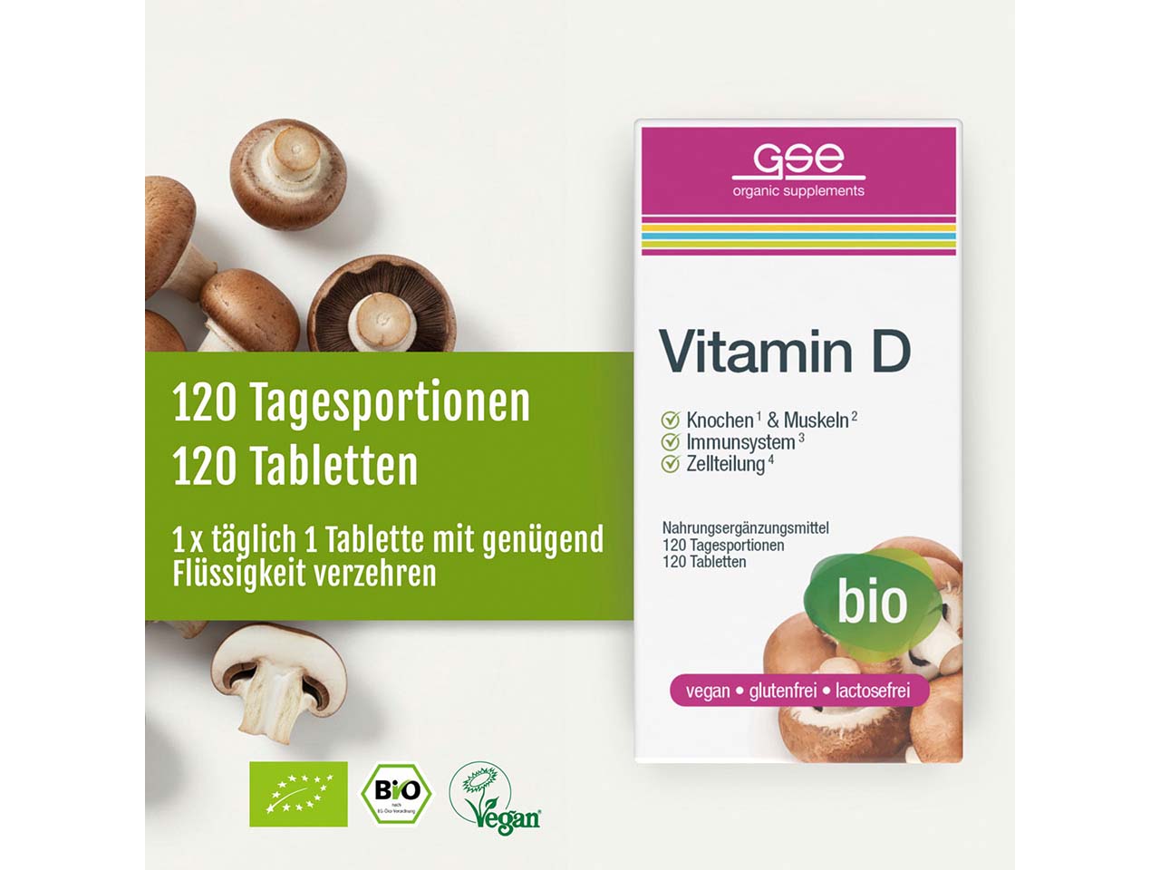 GSE Bio-Tabletten Vitamin D Compact, 120 Stück