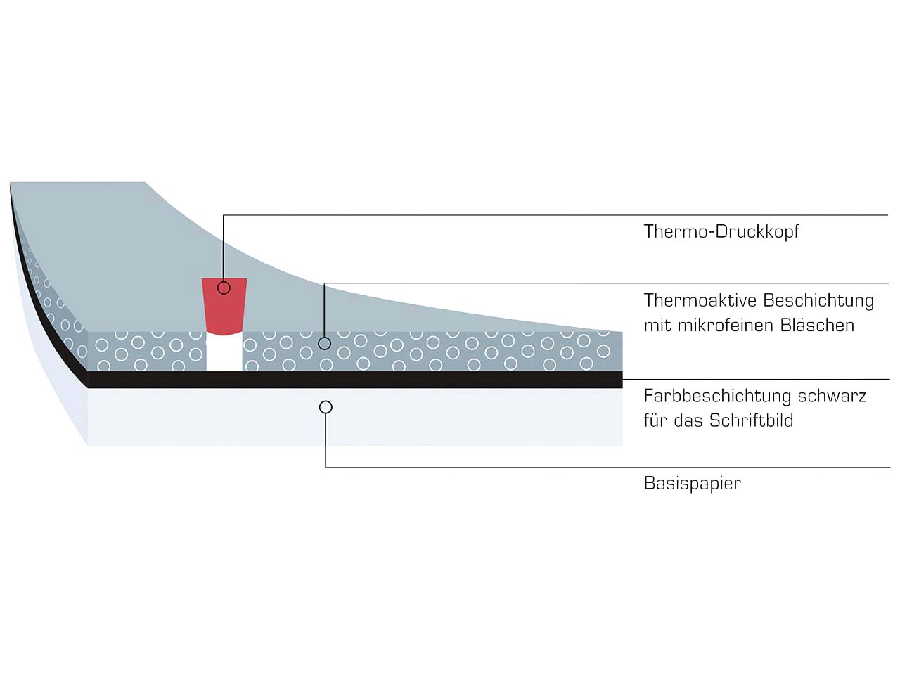 5 ÖKOBON Thermoprinter-Rollen 57 mm x 42 m x 13 mm (Ø 64 mm)