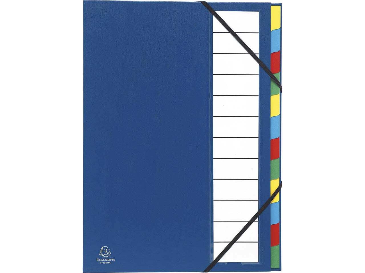 6 Exacompta Ordnungsmappen, DIN A4, Gummizug, dehnbarer Rücken, 12 Fächer, blau