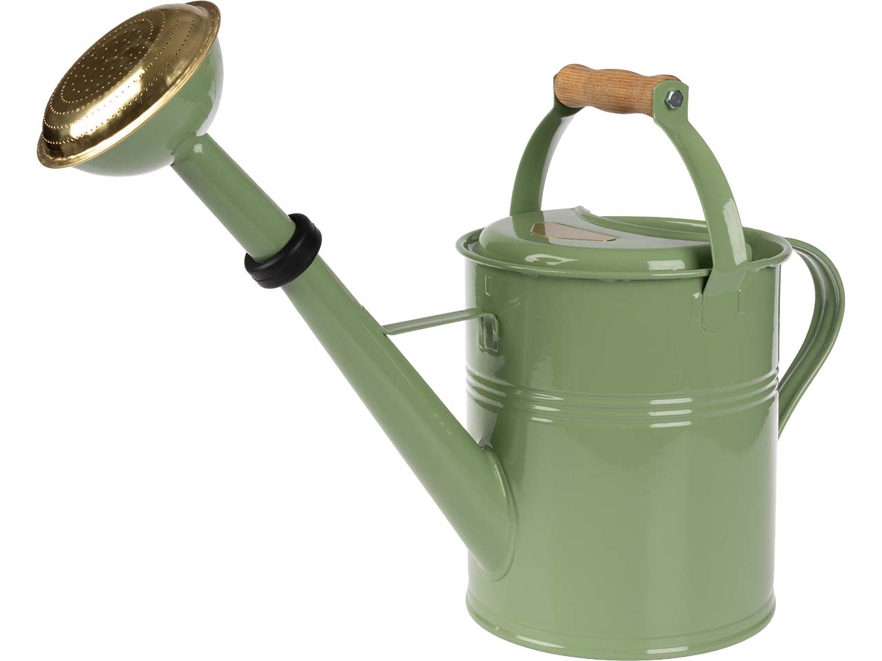 Gießkanne aus feuerverzinktem Stahlblech, 5 l, grün