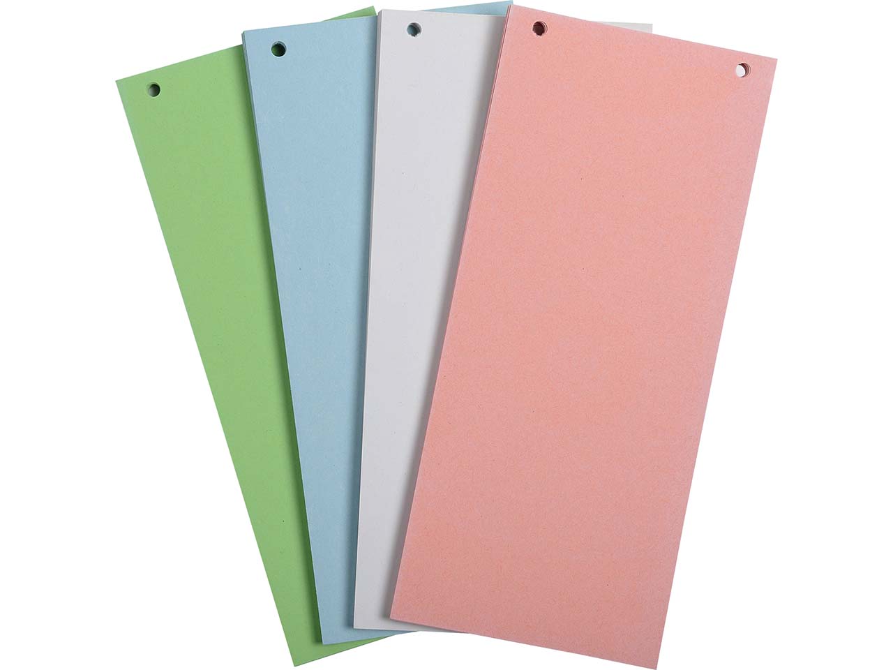 12 x 100 Exacompta Trennstreifen "Forever", 180 g/m², 105 x 240 mm, sortiert