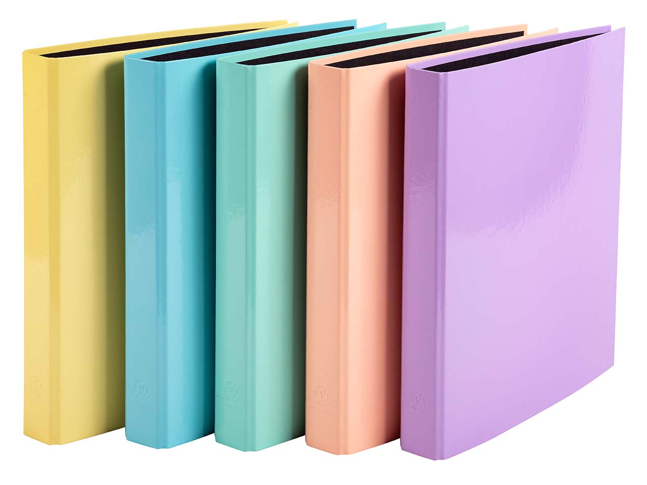 10 Exacompta Ringbücher "Aquarel", DIN A4, 2 Ringen in D-Form, sortiert