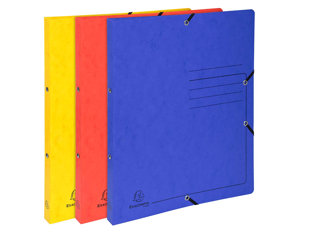 10 Exacompta Ringbücher, Colorspan-Karton, 355 g/m², DIN A4, Gummizug, 2 Ringe, sortiert