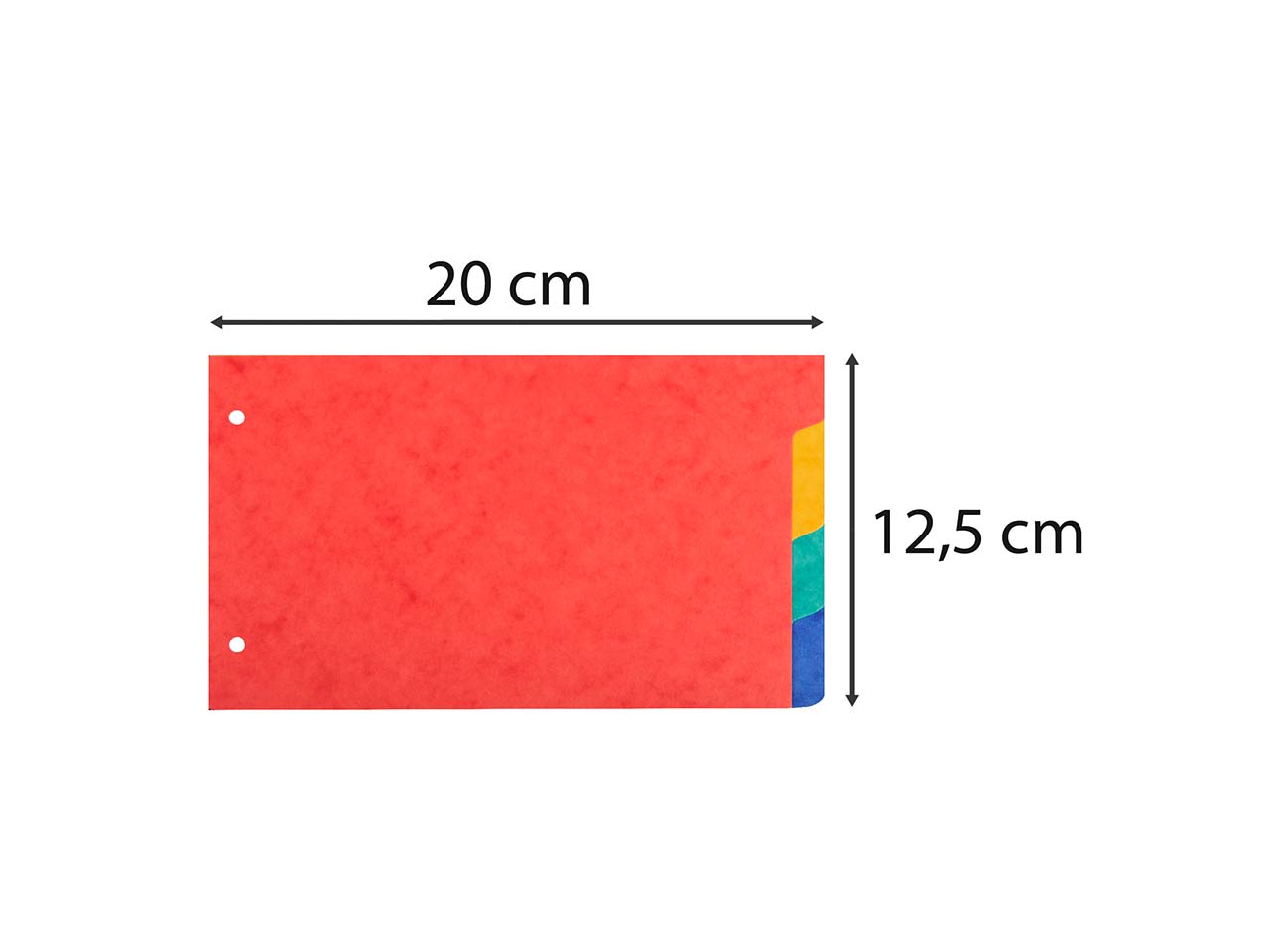 10 Exacompta Register aus Colorspan, 4 Taben, 225 g/m², 125x200 mm, farbig sortiert