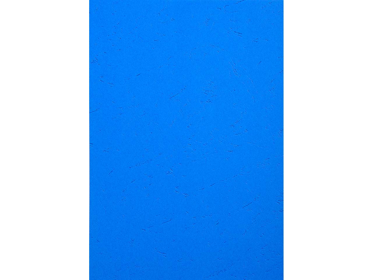 100 Exacompta Eindbanddeckel "Forever", 270 g/m², DIN A4, blau