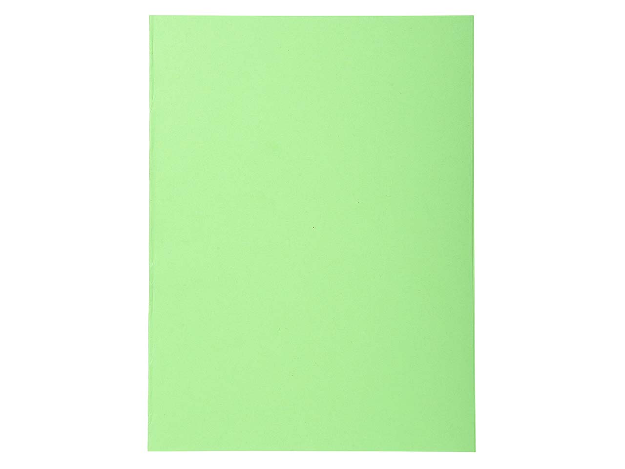 5 x 100 Exacompta Aktendeckel "Forever", 220 g/m², DIN A4, intensivgrün