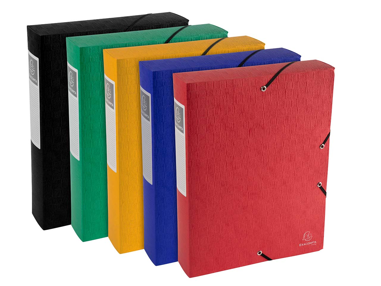 10 Exacompta Archivboxen "Scotten" aus Colorspan, 600 g/m², DIN A4, sortiert, RB 60 mm