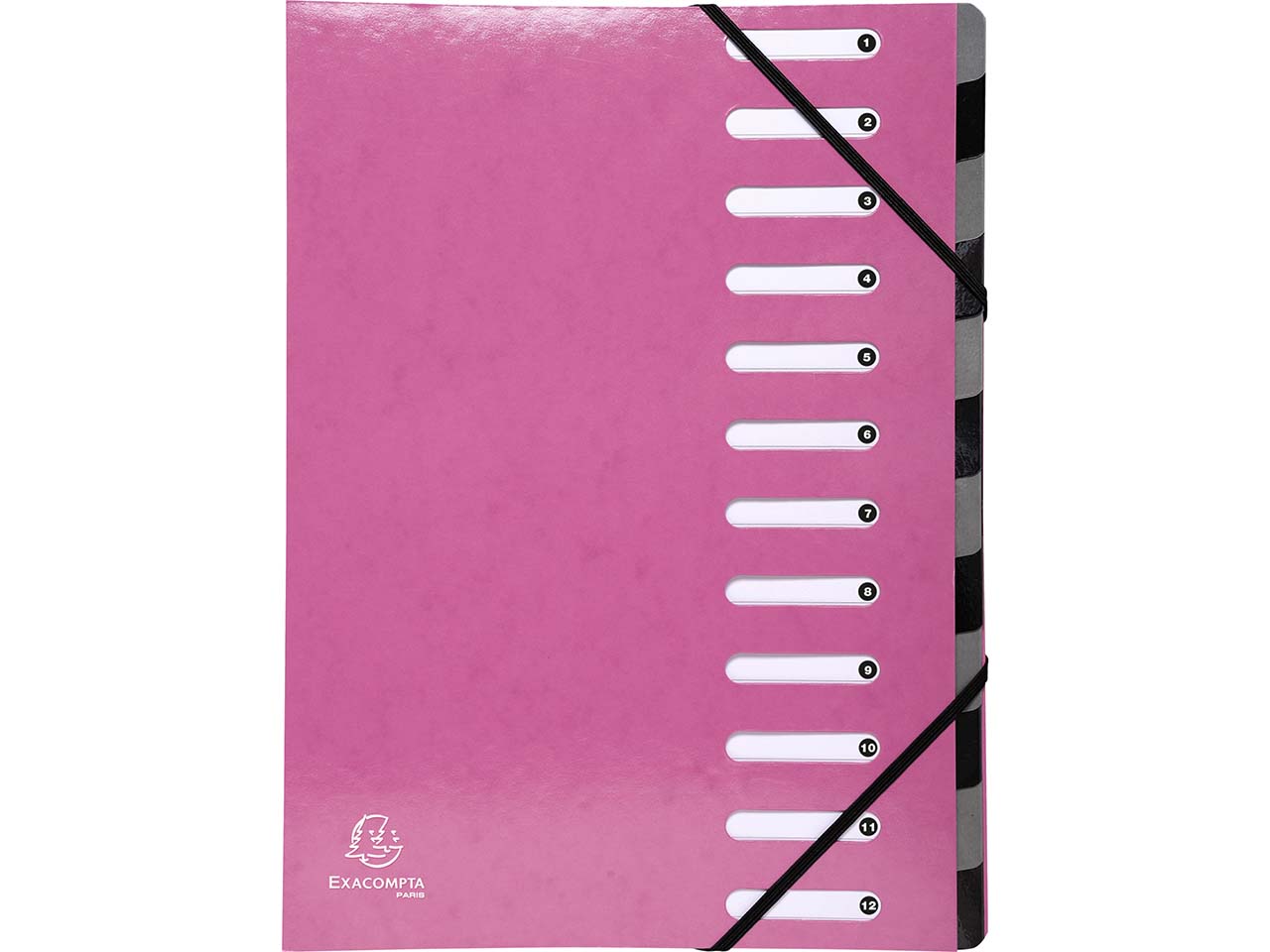 6 Exacompta Ordnungsmappen "Iderama", 600 g/m², DIN A4, dehnb. Rücken, 12 Fächer, rosa