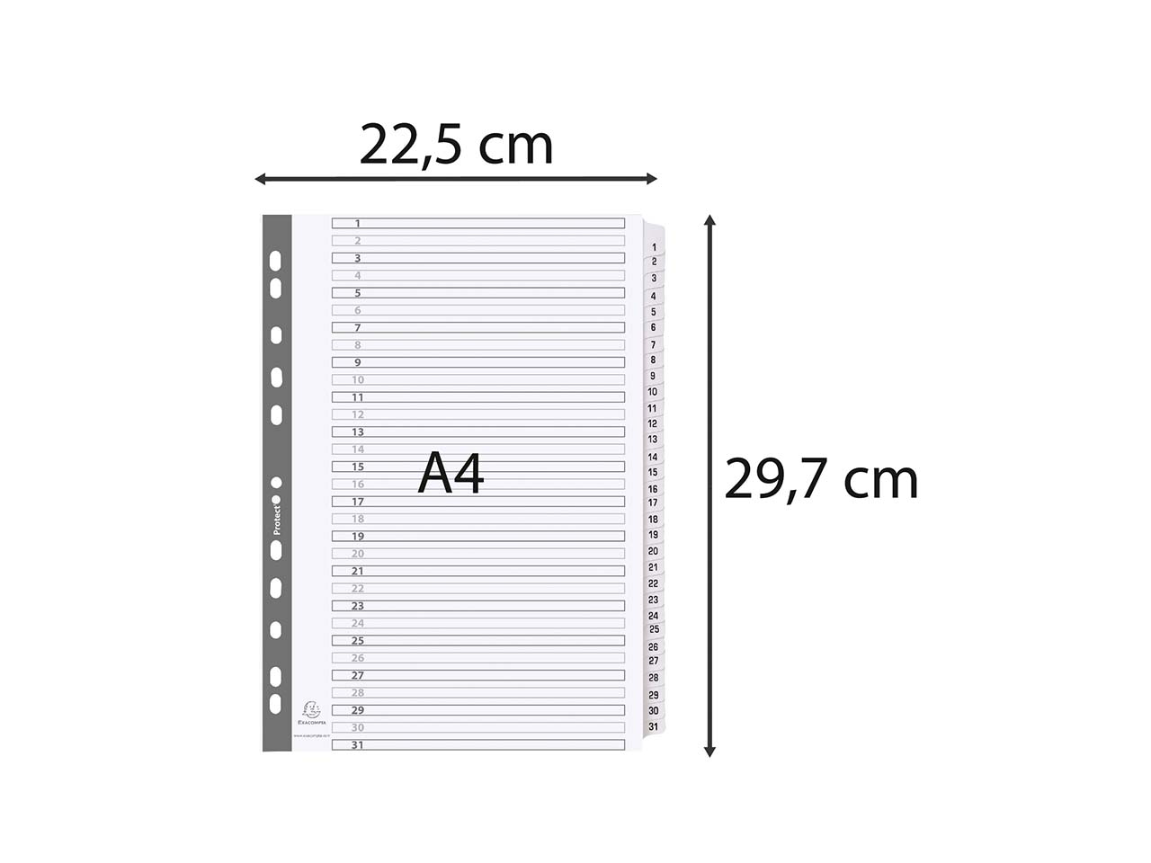10 Exacompta Register, 31 bedruckte Taben numerisch, 160 g/m², DIN A4, weiß