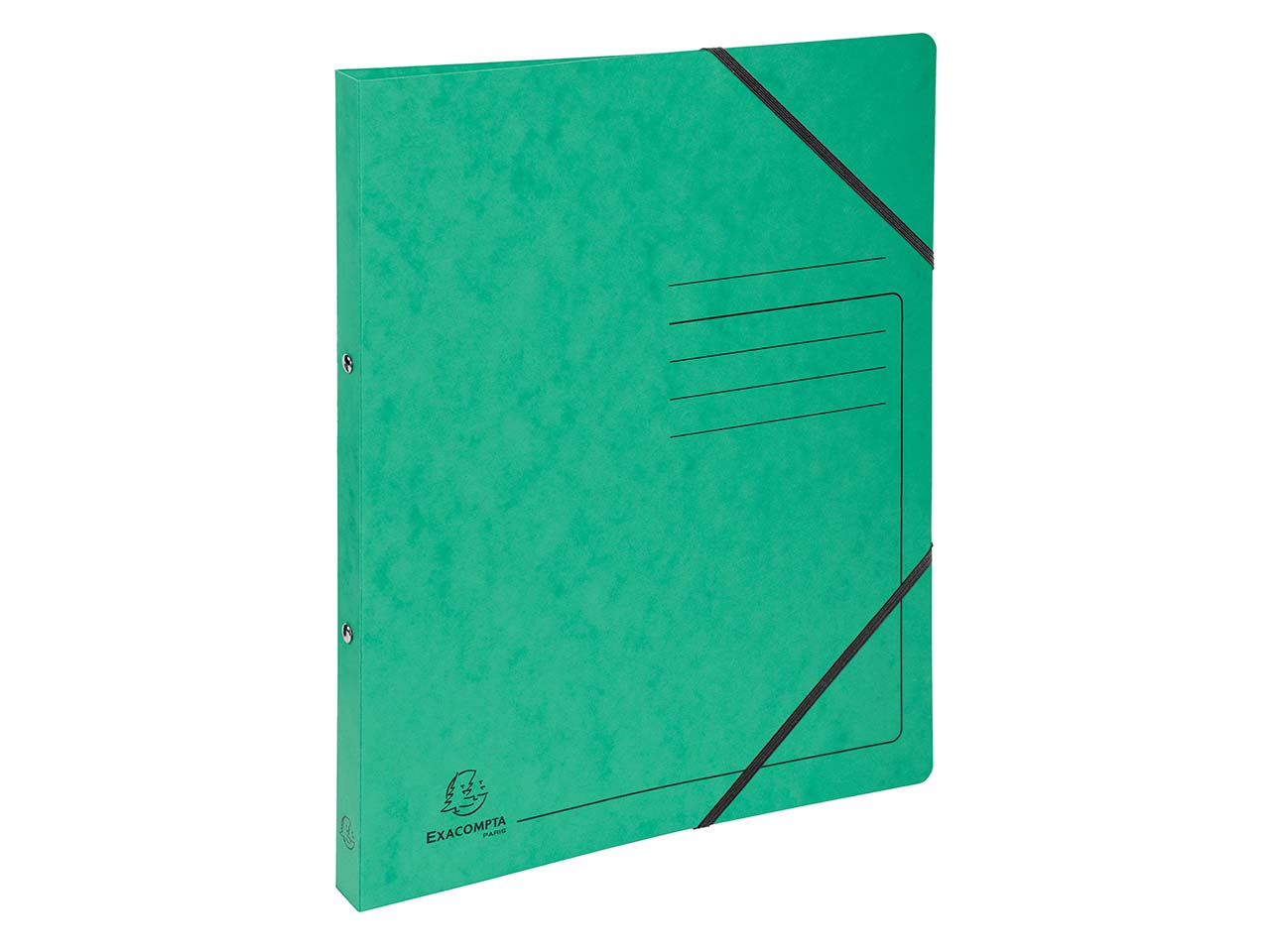 10 Exacompta Ringbücher, Colorspan-Karton, 355 g/m², DIN A4, Gummizug, 2 Ringe, grün