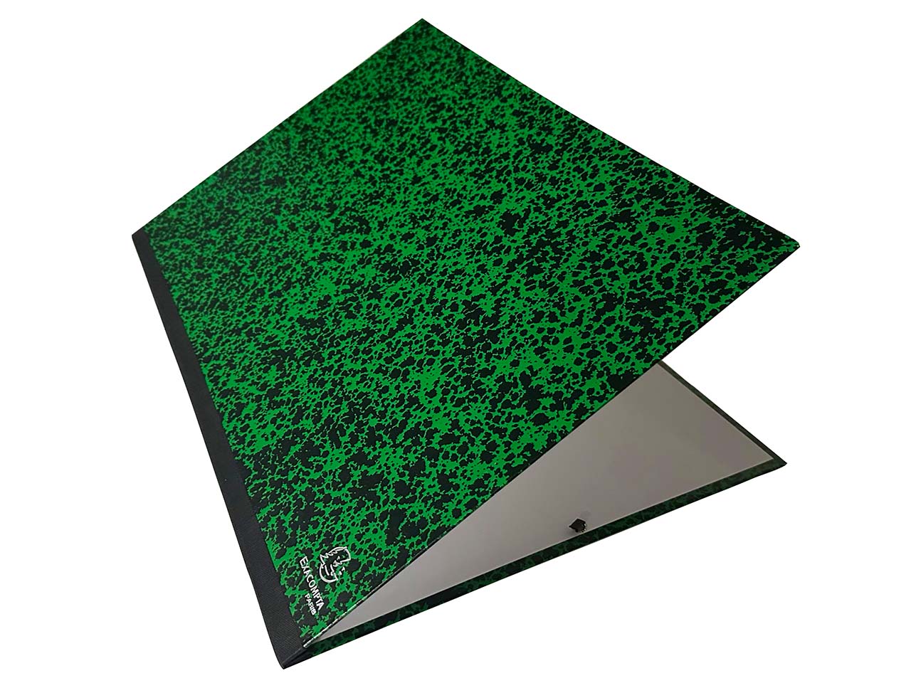 10 Exacompta Zeichenmappen mit Gummizug, 320x450 mm für DIN A3, grün