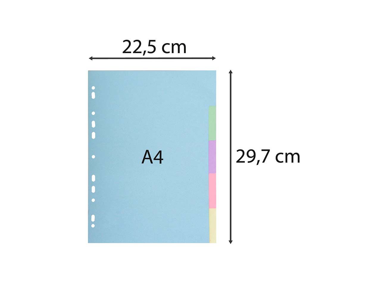 50 Exacompta Register "Forever", 5 Taben neutral, 170 g/m², DIN A4, sortiert