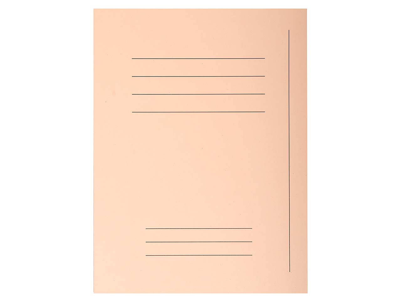 5 x 50 Exacompta Aktendeckel "Forever" mit Beschriftungsfeld, 220 g/m², DIN A4, sand