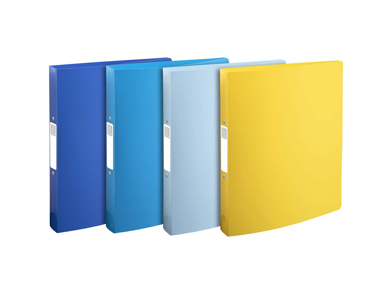 12 Exacompta Ringbücher "BeeBlue", DIN A4 Maxi, sortiert, 2 Ringen