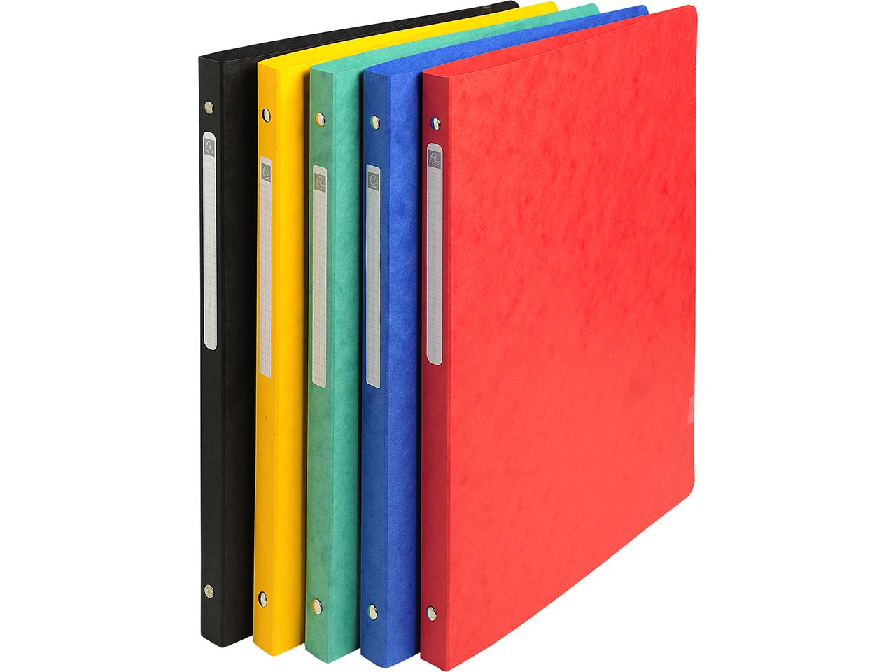 20 Exacompta Ringbücher, Colorspan-Karton, 355 g/m², DIN A4, 4 Ringe, sortiert
