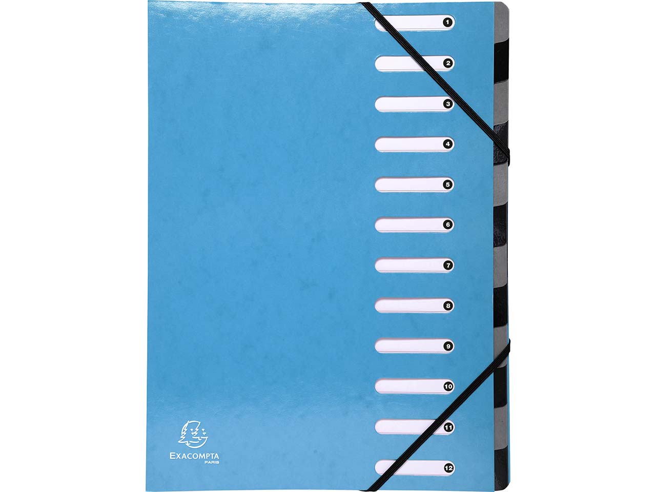 6 Exacompta Ordnungsmappen "Iderama", 600 g/m², DIN A4, dehnb. Rücken, 12 Fächer, hellblau