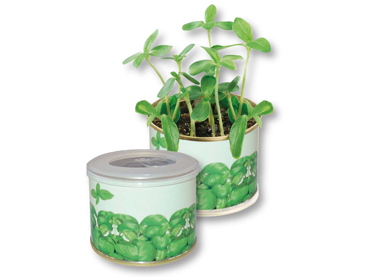 Bio-Mini-Pflanzset 'Dose' Sonnenblume  mit 1-4 farbigem Aufdruck