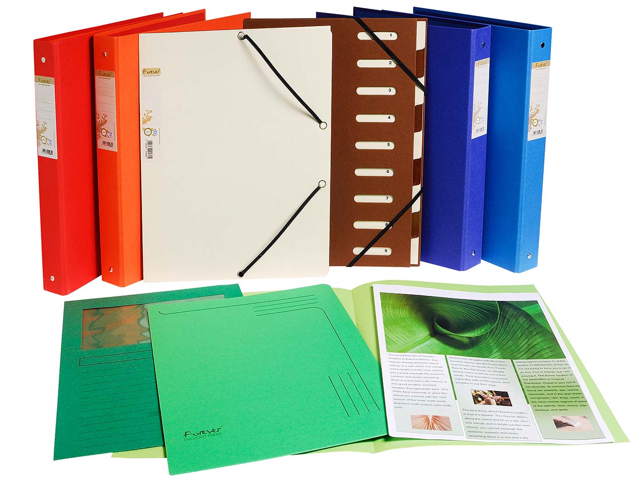 25 Exacompta Aktenmappen "Forever" mit Beschriftungsfeld, 290 g/m², DIN A4, sortiert
