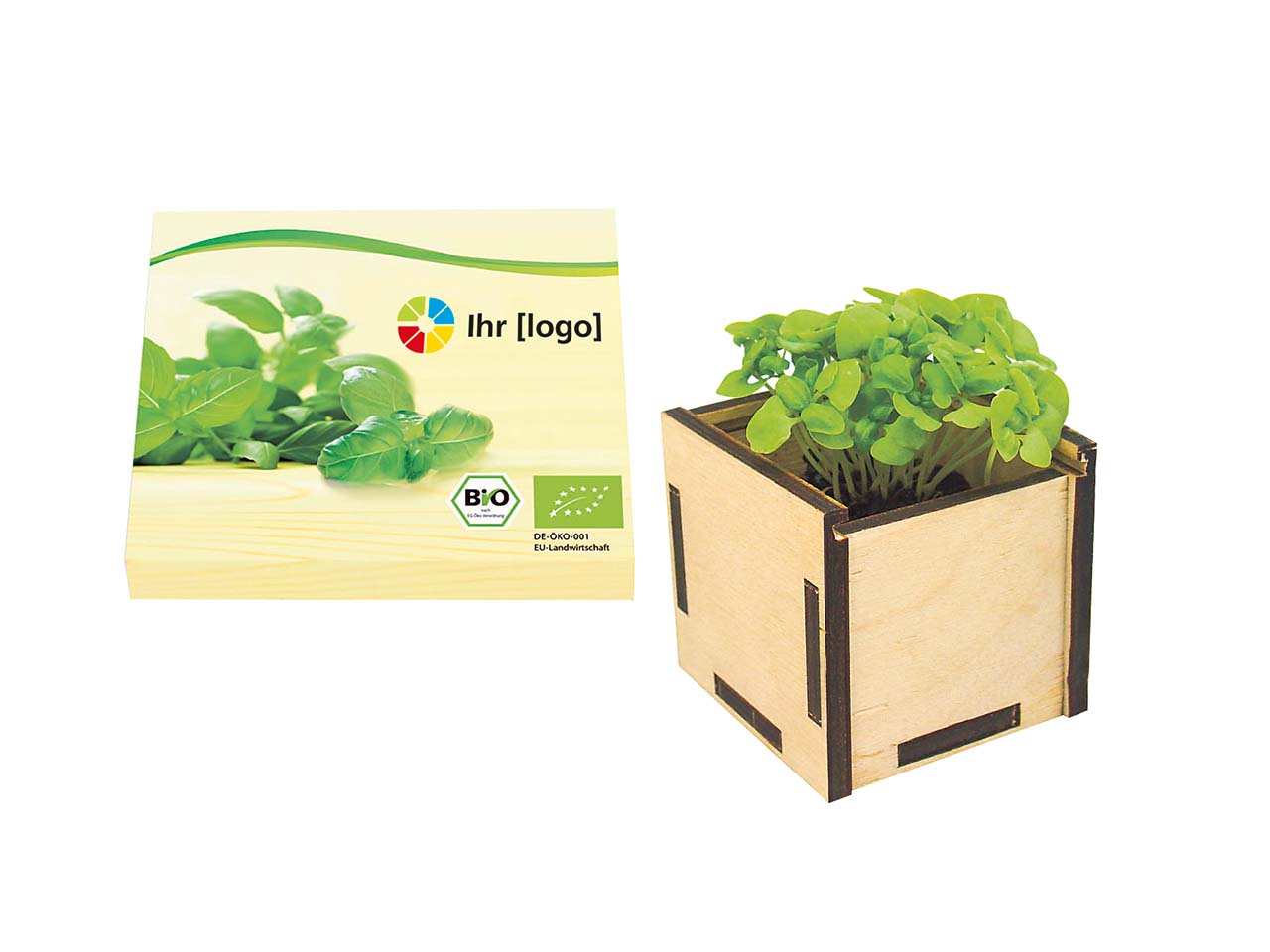 Bio Pflanzsteckbox 'Basilikum'