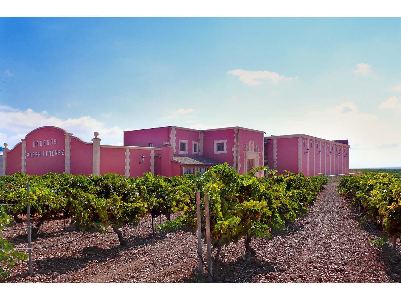 Sauvignon Blanc PARRA Familia Parra, 0,75 l