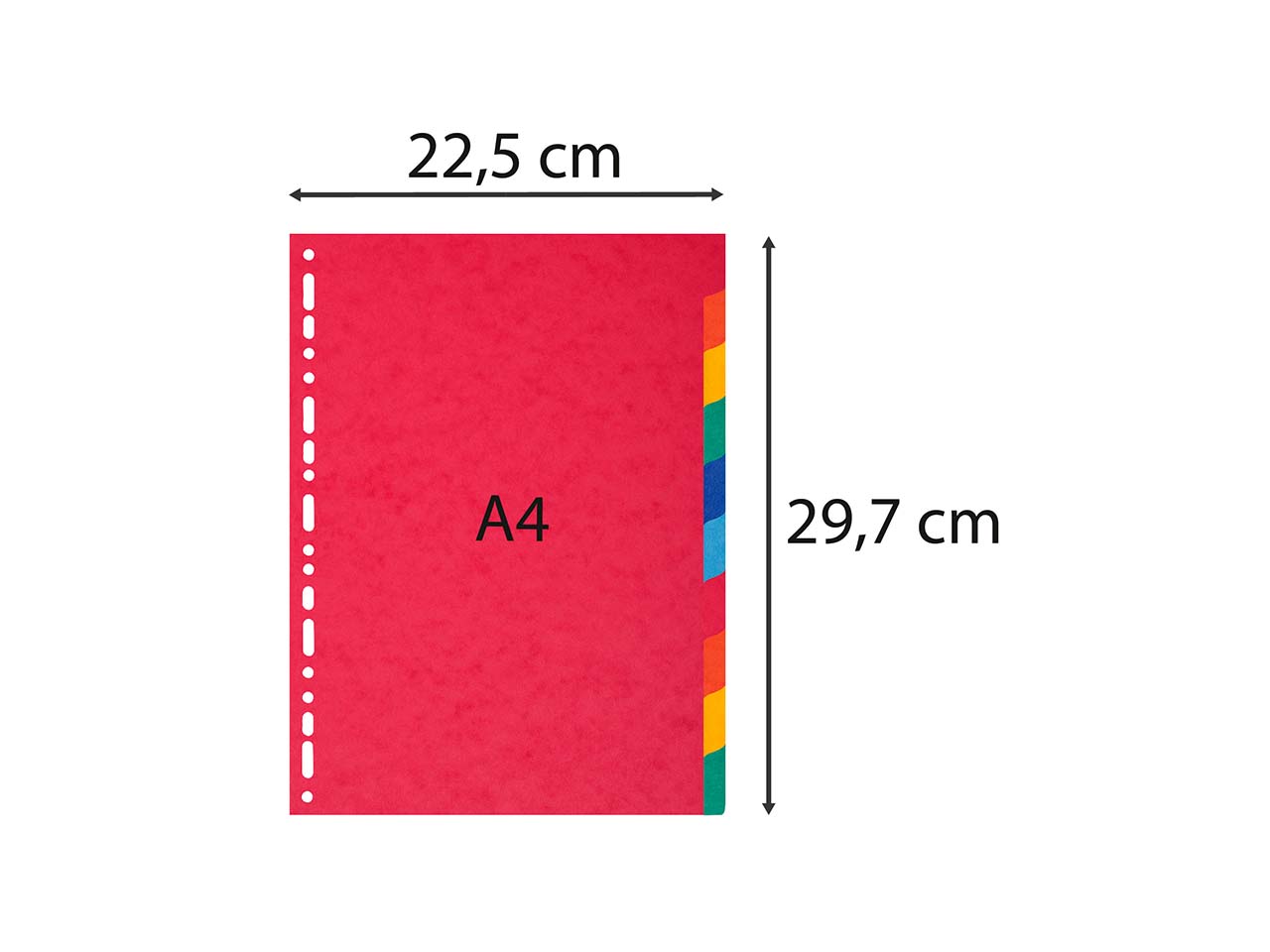 10 Exacompta Register, Colorspan-Karton, 10 Taben neutral, 225 g/m², DIN A4, sortiert