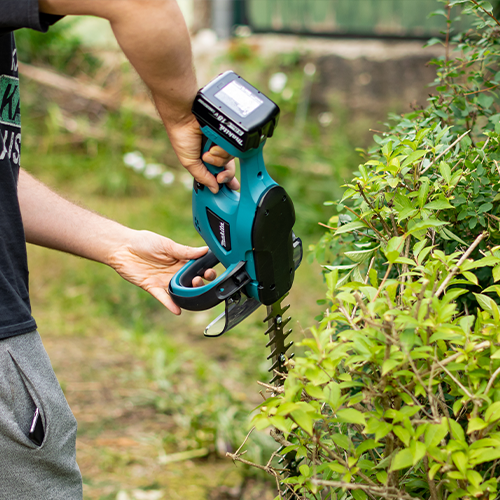 Nahaufnahme einer Person, die mit einer elektrischen Heckenschere die Hecke schneidet