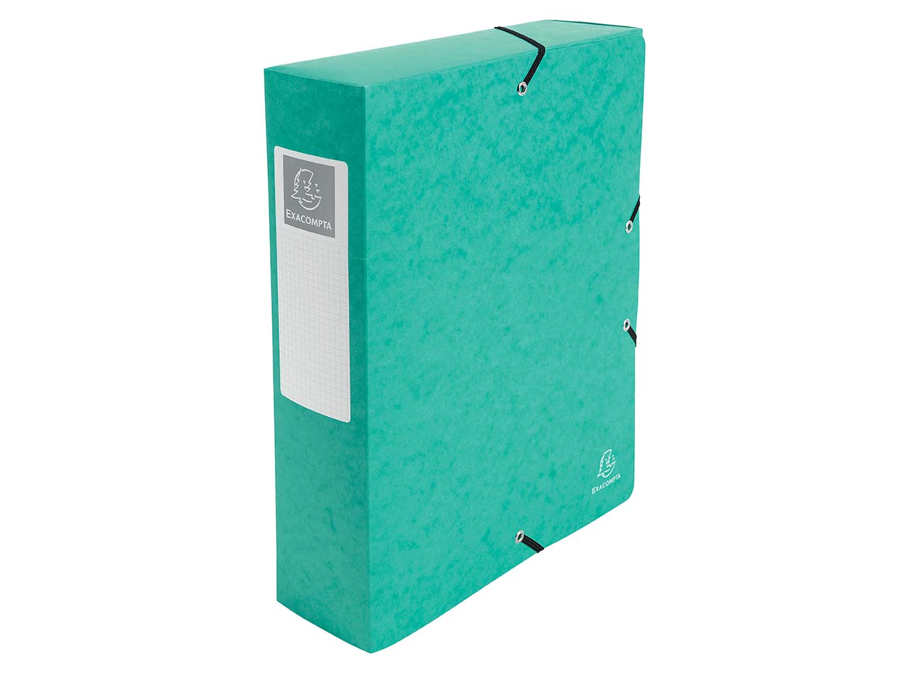 6 Exacompta Archivboxen, Colorspan-Karton, 600 g/m², DIN A4 maxi, RB 80 mm, grün