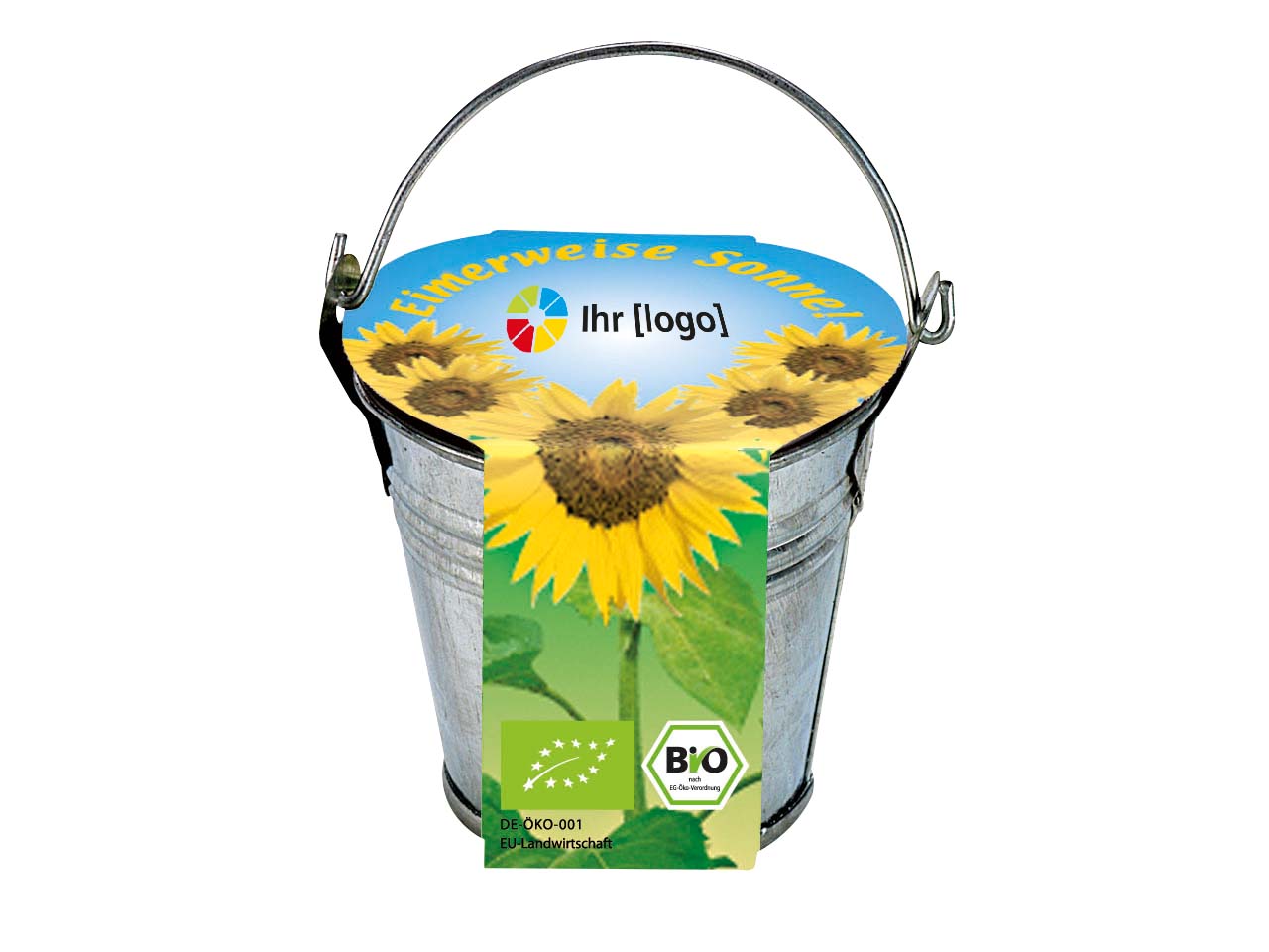 Bio Sonnenblumen im Eimer
