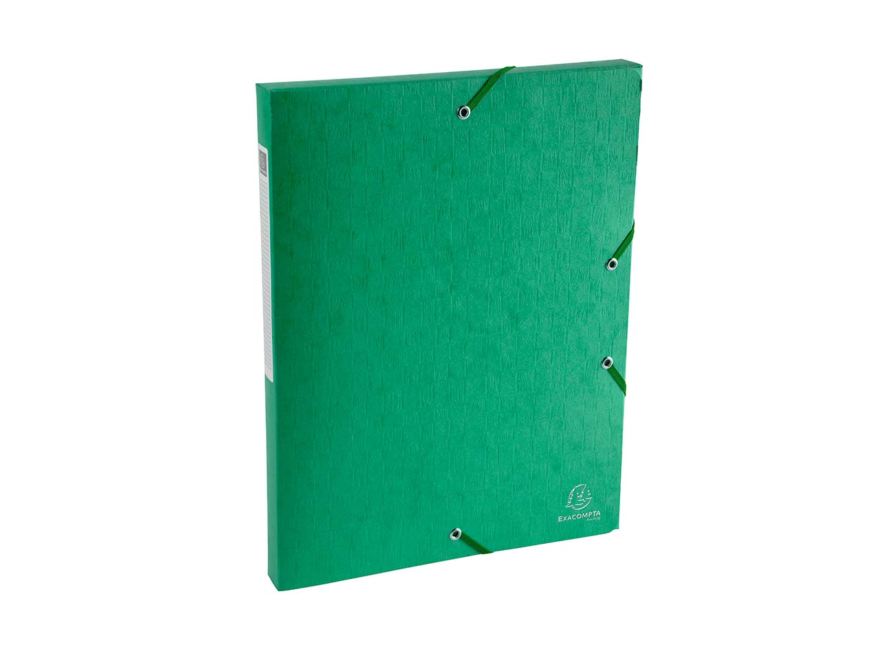 10 Exacompta Archivboxen "Scotten" aus Colorspan, 600 g/m², DIN A4, grün, RB 25 mm
