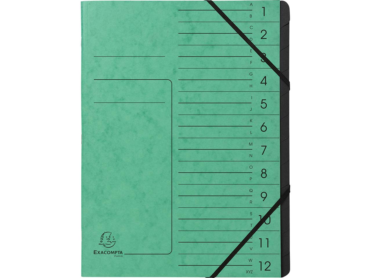 10 Exacompta Ordnungsmappen aus Colorspan, 355 g/m², DIN A4, Gummizug, 12 Fächer, grün