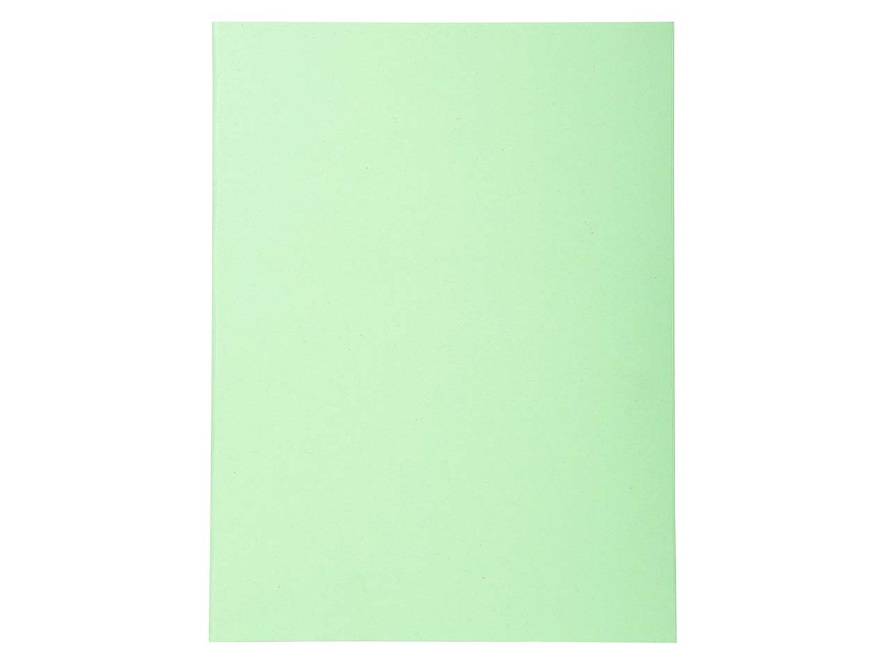 5 x 100 Exacompta Aktendeckel "Forever", 220 g/m², DIN A4, grün