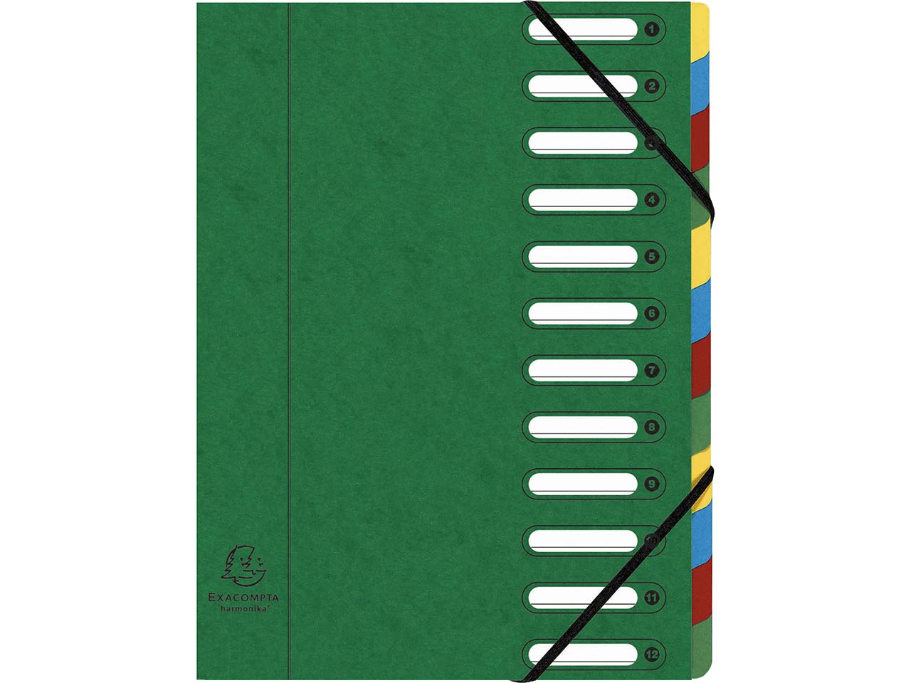 6 Exacompta Ordnungsmappen aus Colorspan, 425 g/m², DIN A4, Gummizug, 12 Fächer, grün