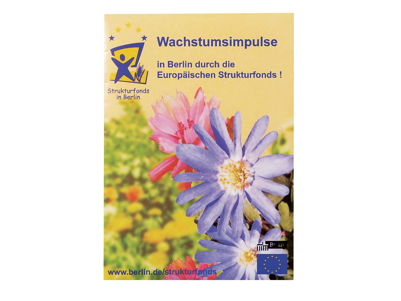 Bio Samentütchen 'Ringelblume' mit 1-4 farbigem individuellem Aufdruck