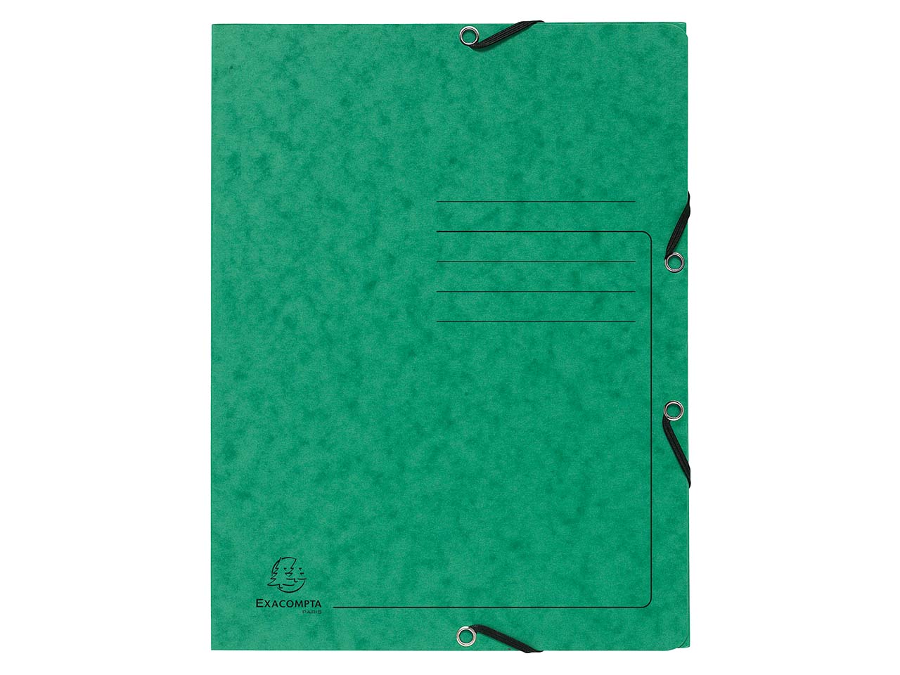 25 Exacompta Sammelmappen, Colorspan-Karton, 355 g/m², DIN A4, Gummizug, 3 Klappen, grün