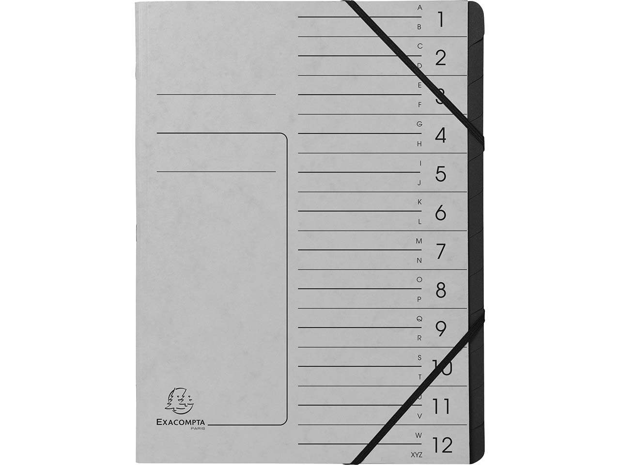 10 Exacompta Ordnungsmappen aus Colorspan, 355 g/m², DIN A4, Gummizug, 12 Fächer, grau