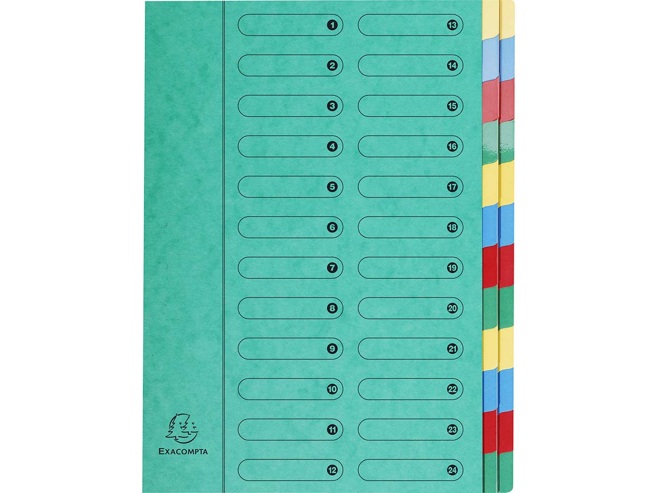 4 Exacompta Ordnungsmappen aus Colorspan-Karton, 400 g/m², DIN A4, 24 Fächer, grün