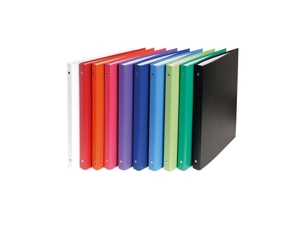20 Exacompta Ringbücher aus kaschiertem Karton, DIN A4, 4 Ringe, RB 20 mm, sortiert