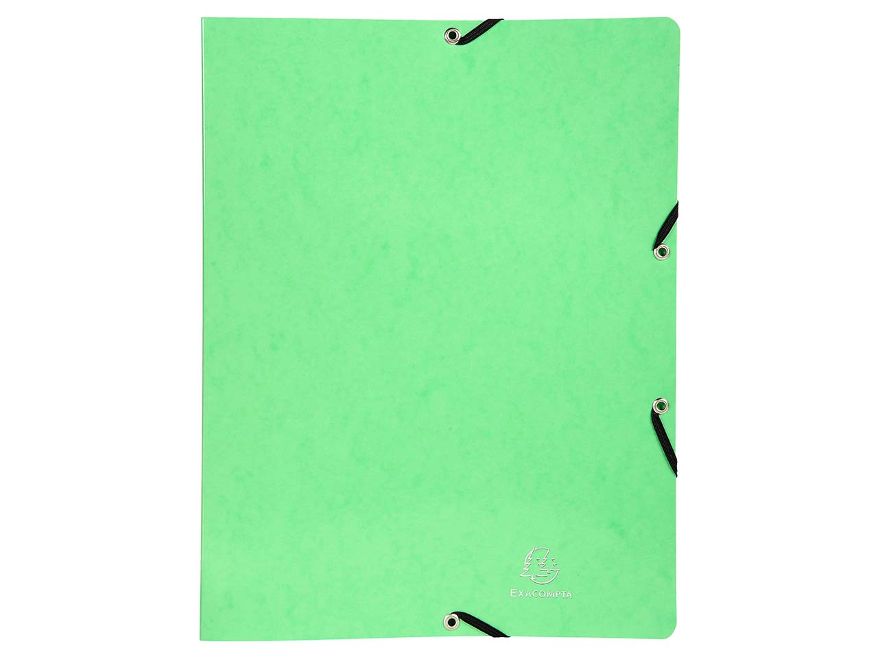 20 Exacompta Ringbücher "Iderama" aus Colorspan, 600 g/m², DIN A4, 2 Ringe, anisgrün