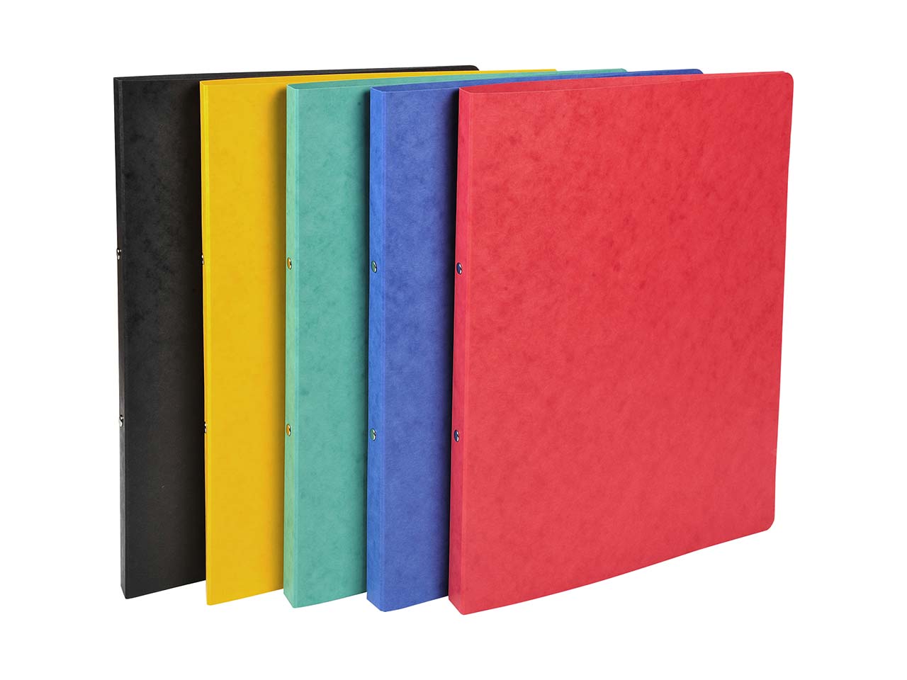 20 Exacompta Ringbücher, Colorspan-Karton, 355 g/m², DIN A4, 2 Ringe, sortiert
